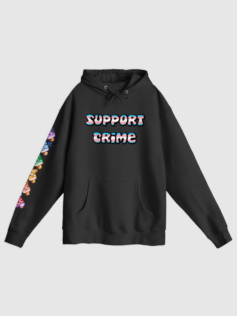 Trans Crime Hoodie product image (2)