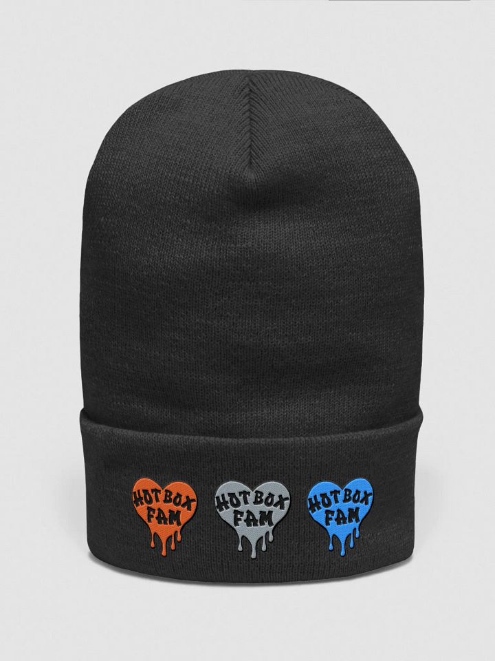 HOT BOX FAM SOLID EMBROIDERY BEANIE product image (3)