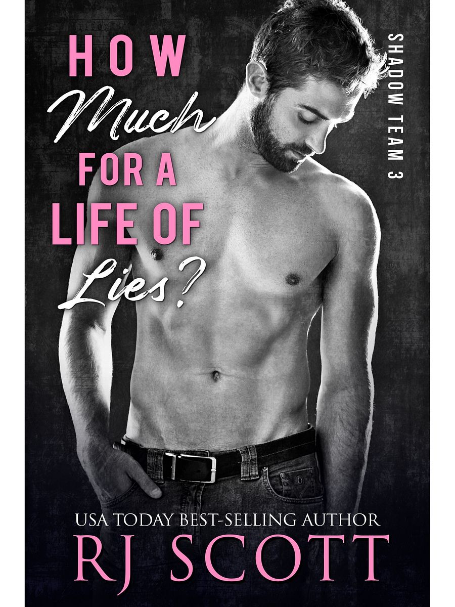 How Much For a Life of Lies? (Shadow Team 3) - paperback product image (2)