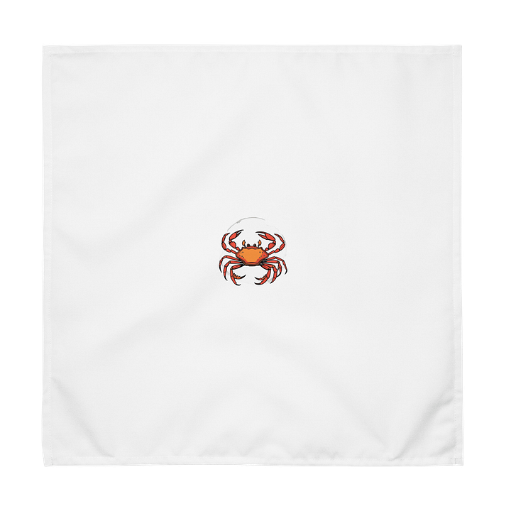 Crabby Chic Cloth Napkin Set product image (2)