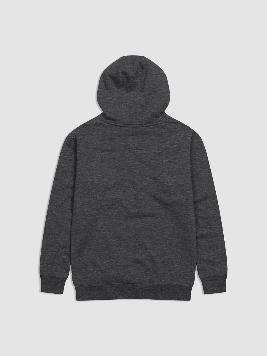 OG Logo - Premium Heavyweight Hoodie product image (2)