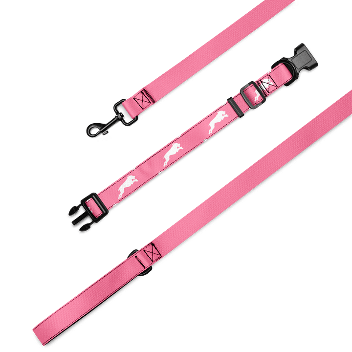 Bubblegum Pink Leash & Collar product image (2)