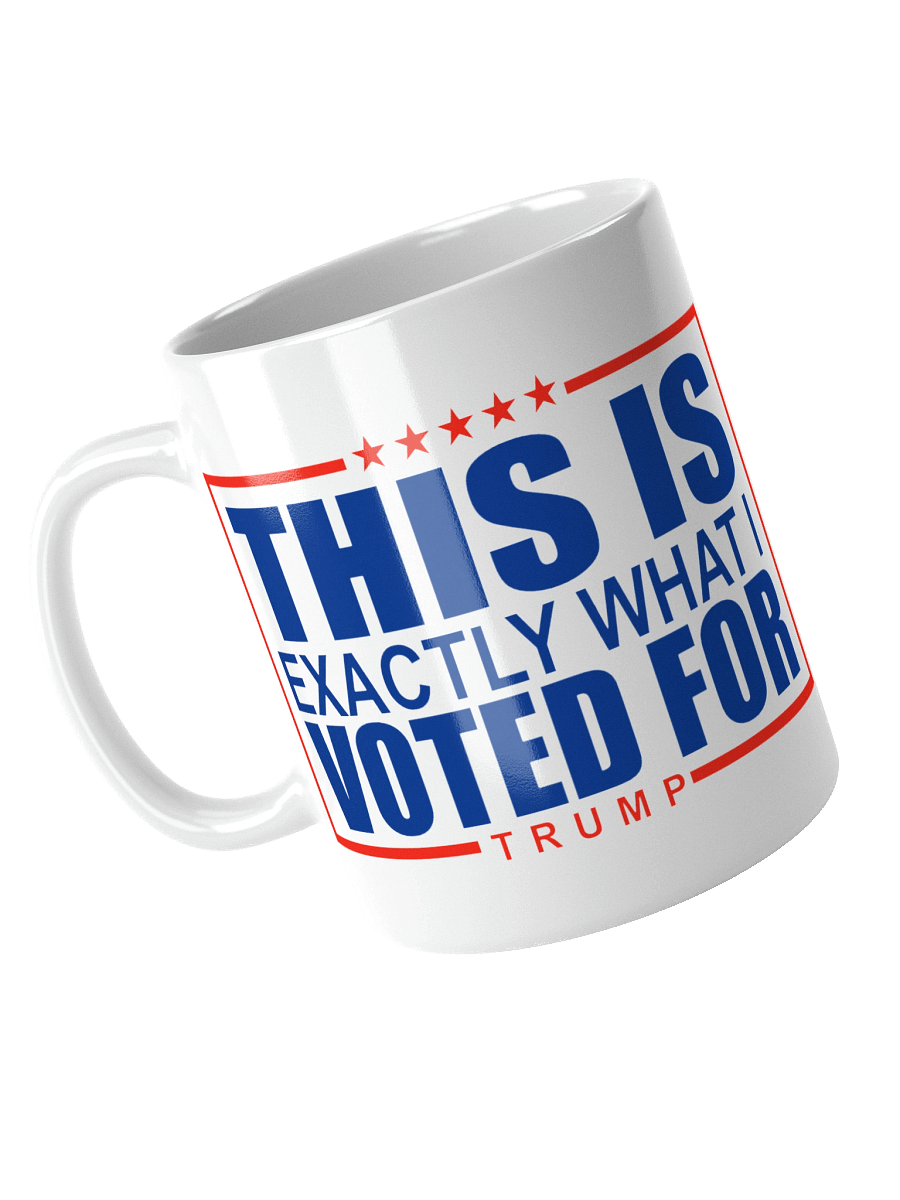 This Is What I Voted For Mug product image (8)