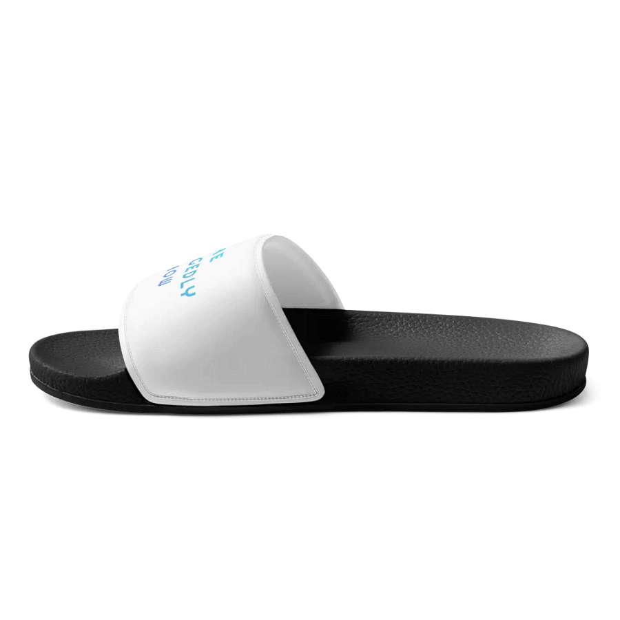 The Allegedly Show Slides product image (8)