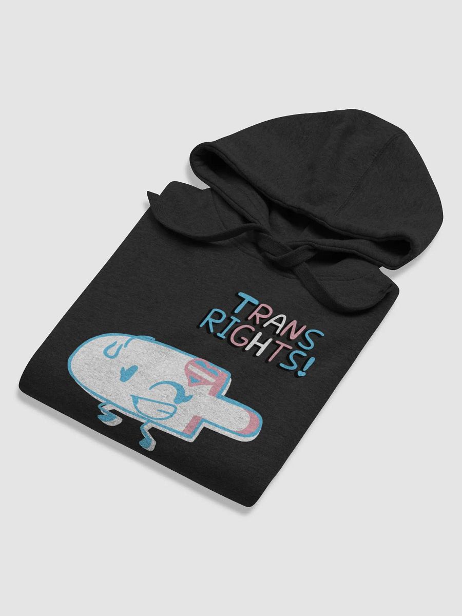 Treasure Tree Trans Rights Unisex Hoodie product image (47)