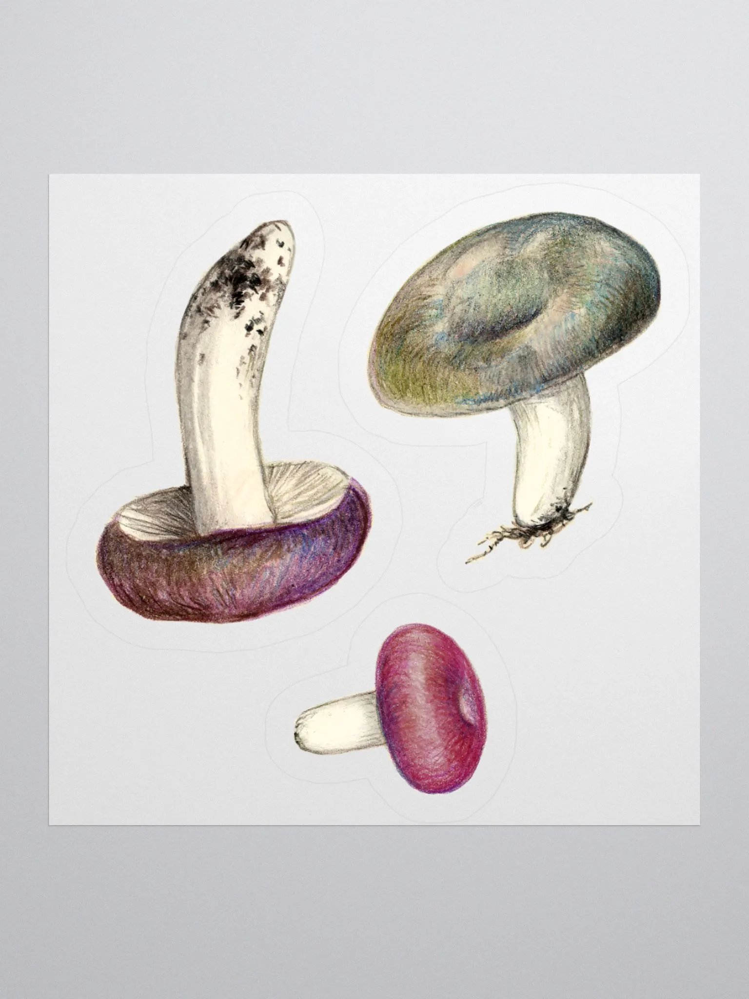 Russula mushrooms stickers product image (2)