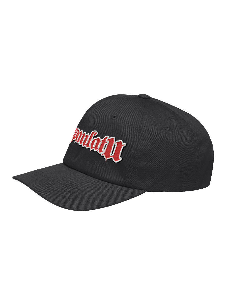 Embroidered Logo Dad Hat product image (3)