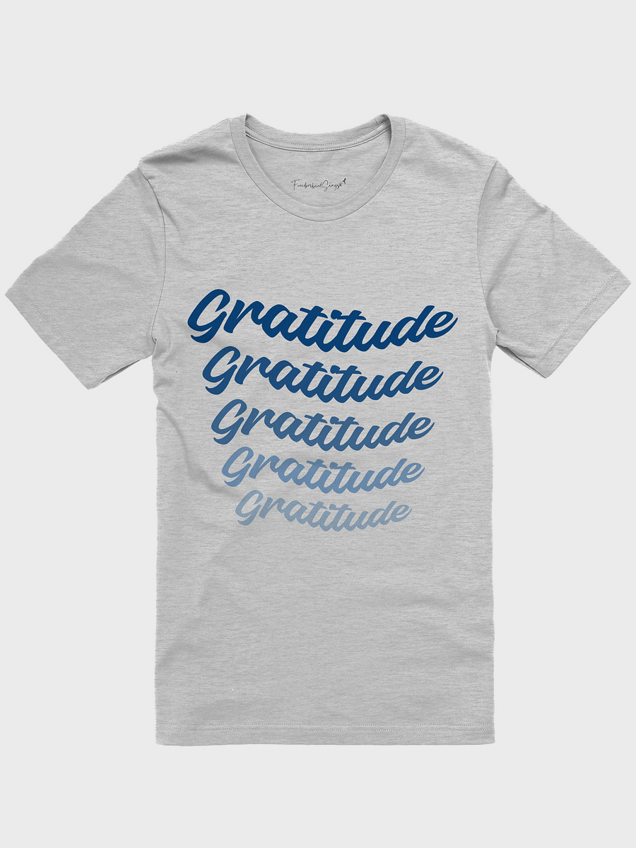 Gratitude Banner Tee product image (1)