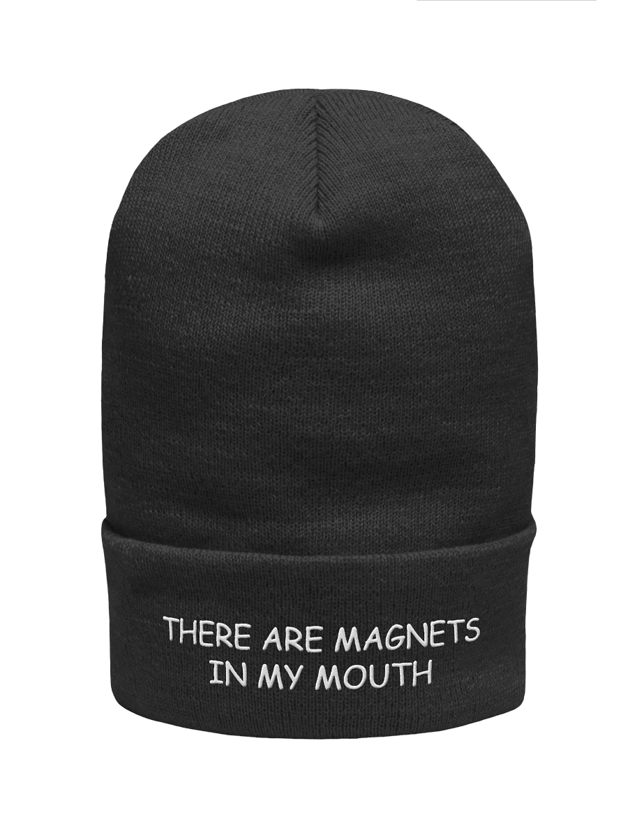 magnets beanie product image (1)