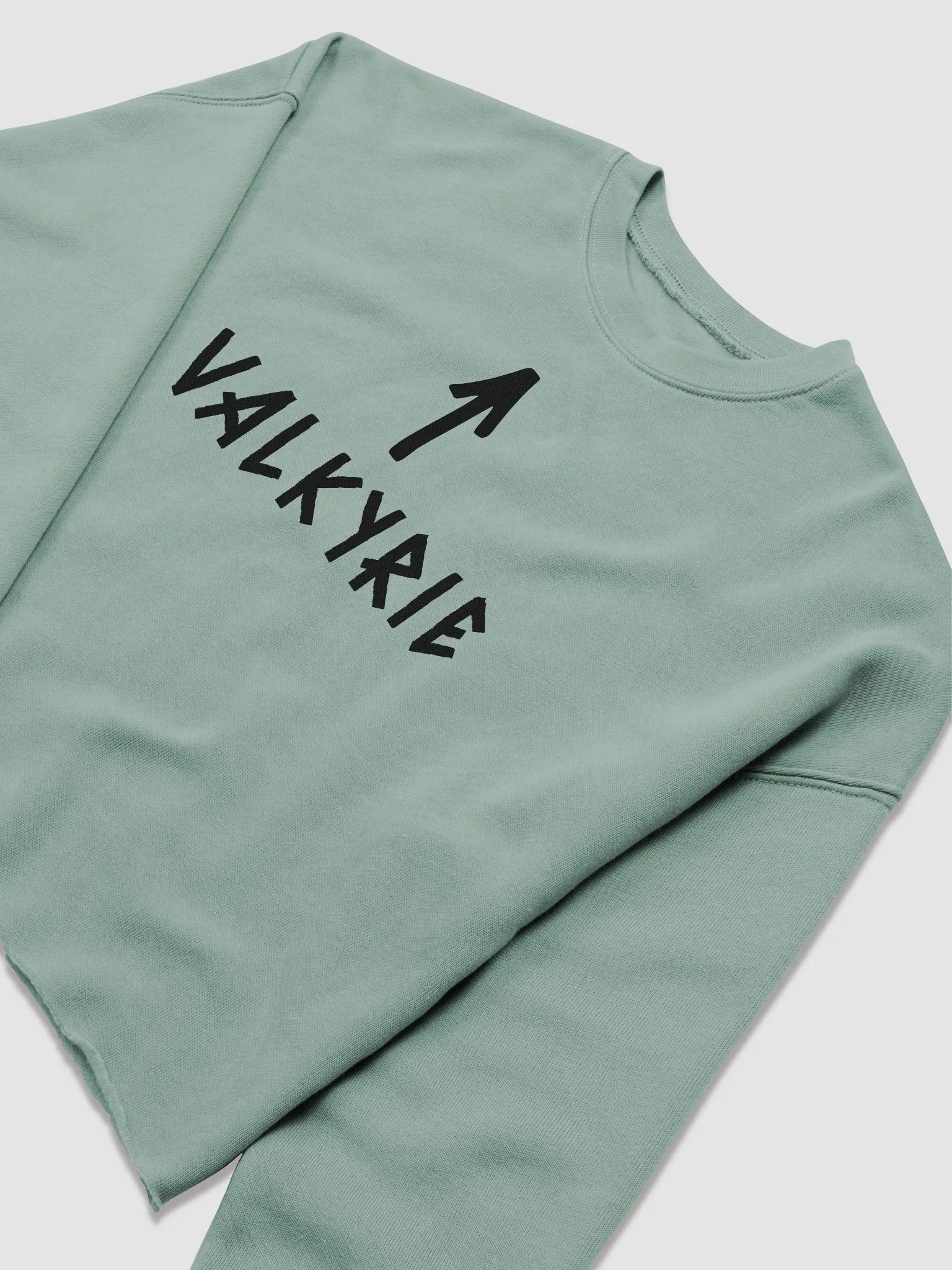 Valkyrie Arrow Crop Sweatshirt product image (13)