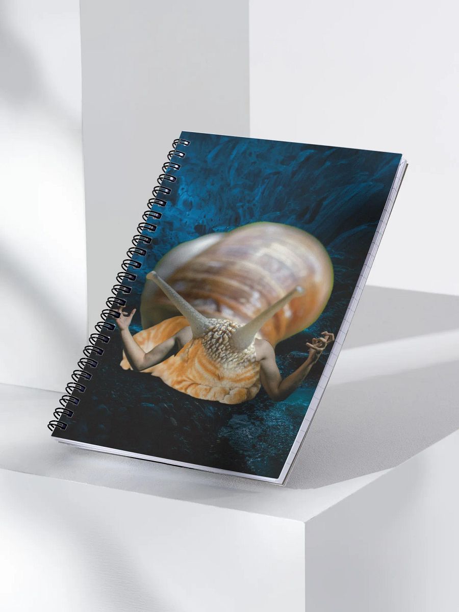 IMPORTANT NOTES product image (3)