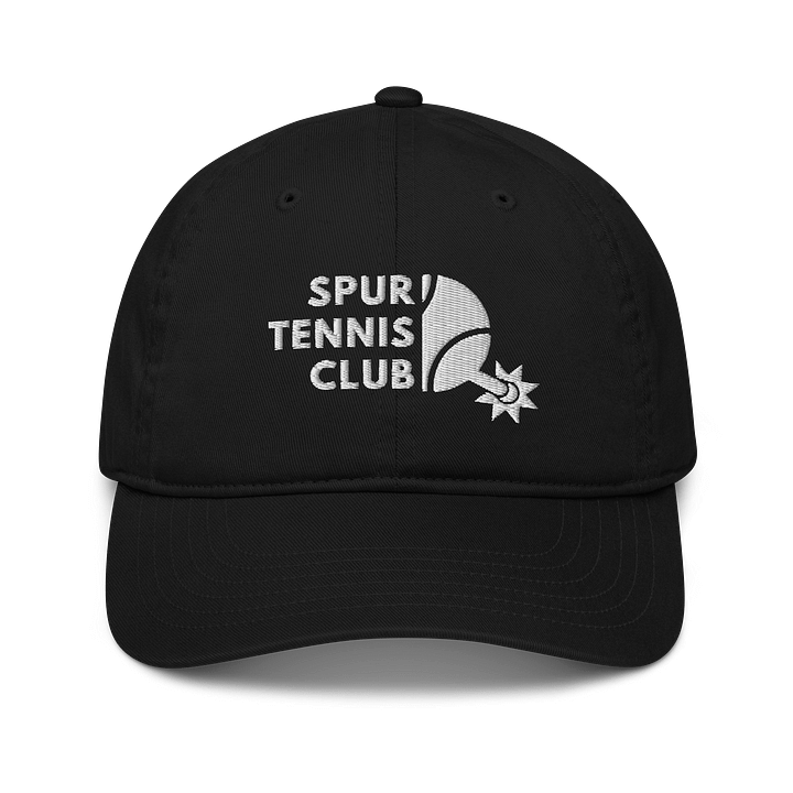 Sleek Dad Hat product image (1)