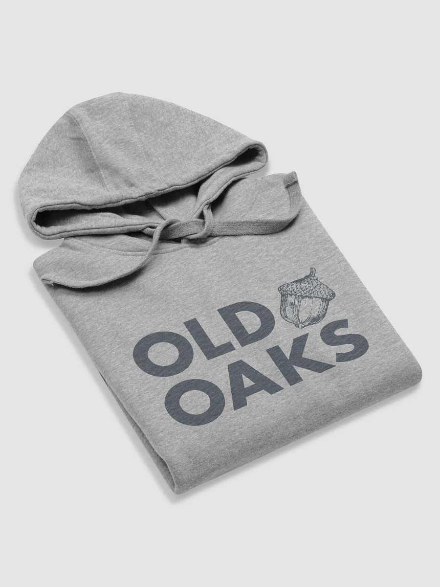 Old Oaks Hoodie product image (5)