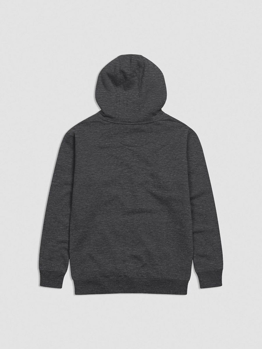 GINX+ Hoodie (Embroidered Logo) product image (12)