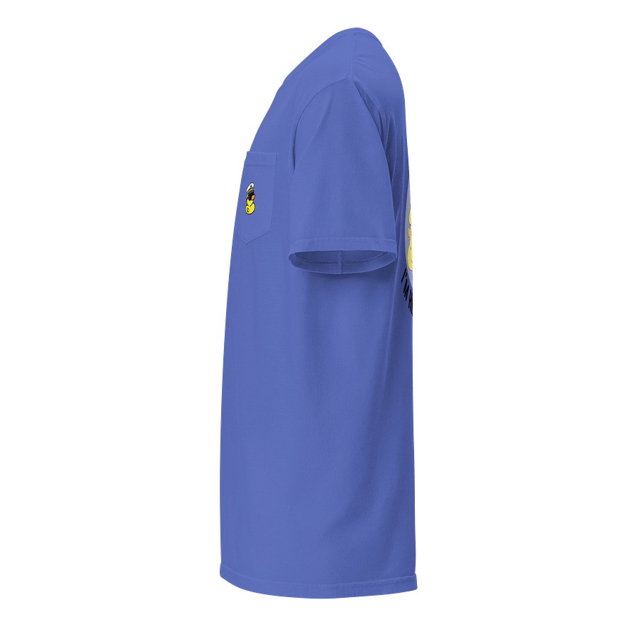 Adult Hiding Ducks T-Shirt - Blue product image (3)