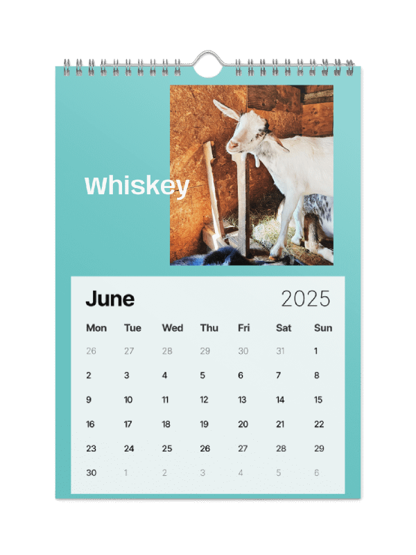 BrowncoatGoat Barn's Goats of 2025 product image (11)