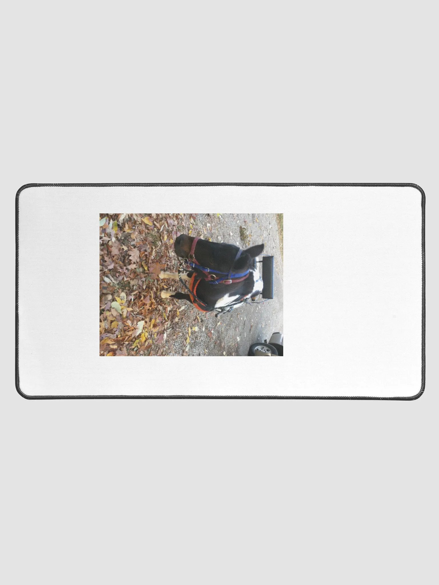 minite pony product image (1)