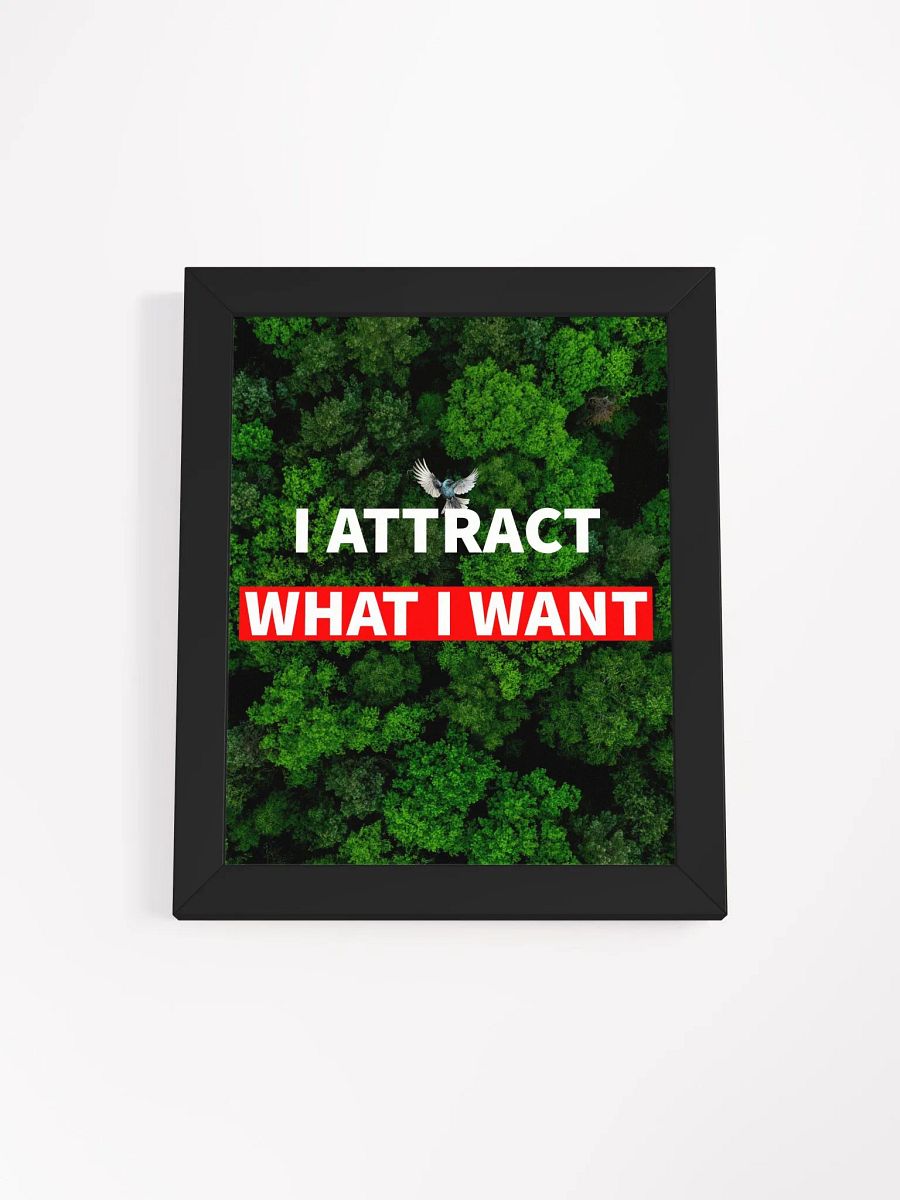 i attract what i want product image (1)