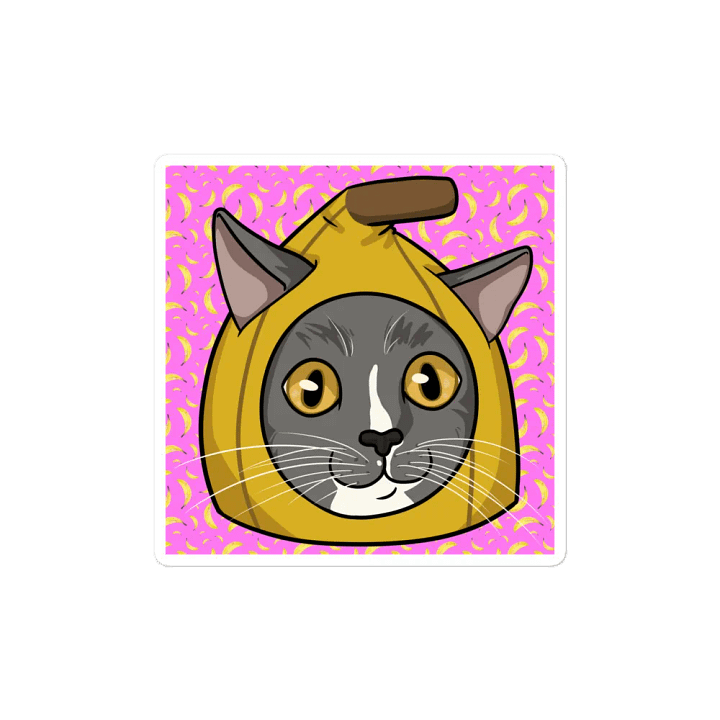 BananaSnugs magnet product image (1)
