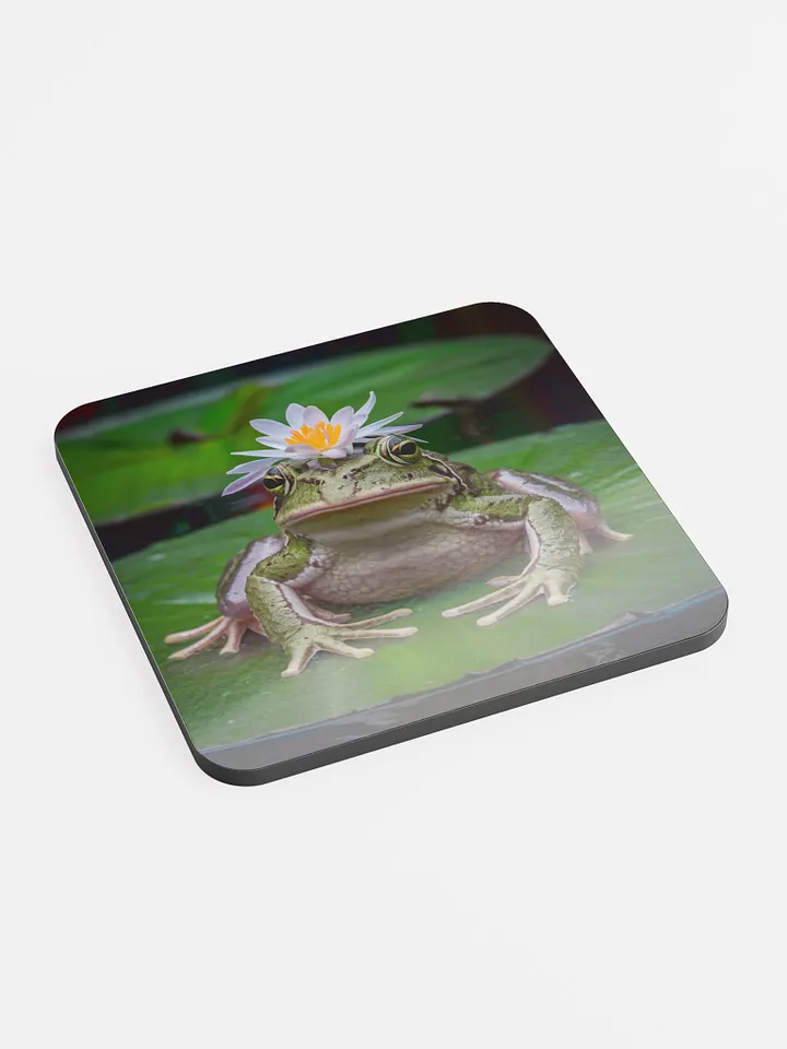 Frog Coaster product image (2)