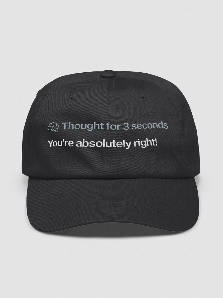 "You're absolutely right!" hat - 100% cotton product image (2)