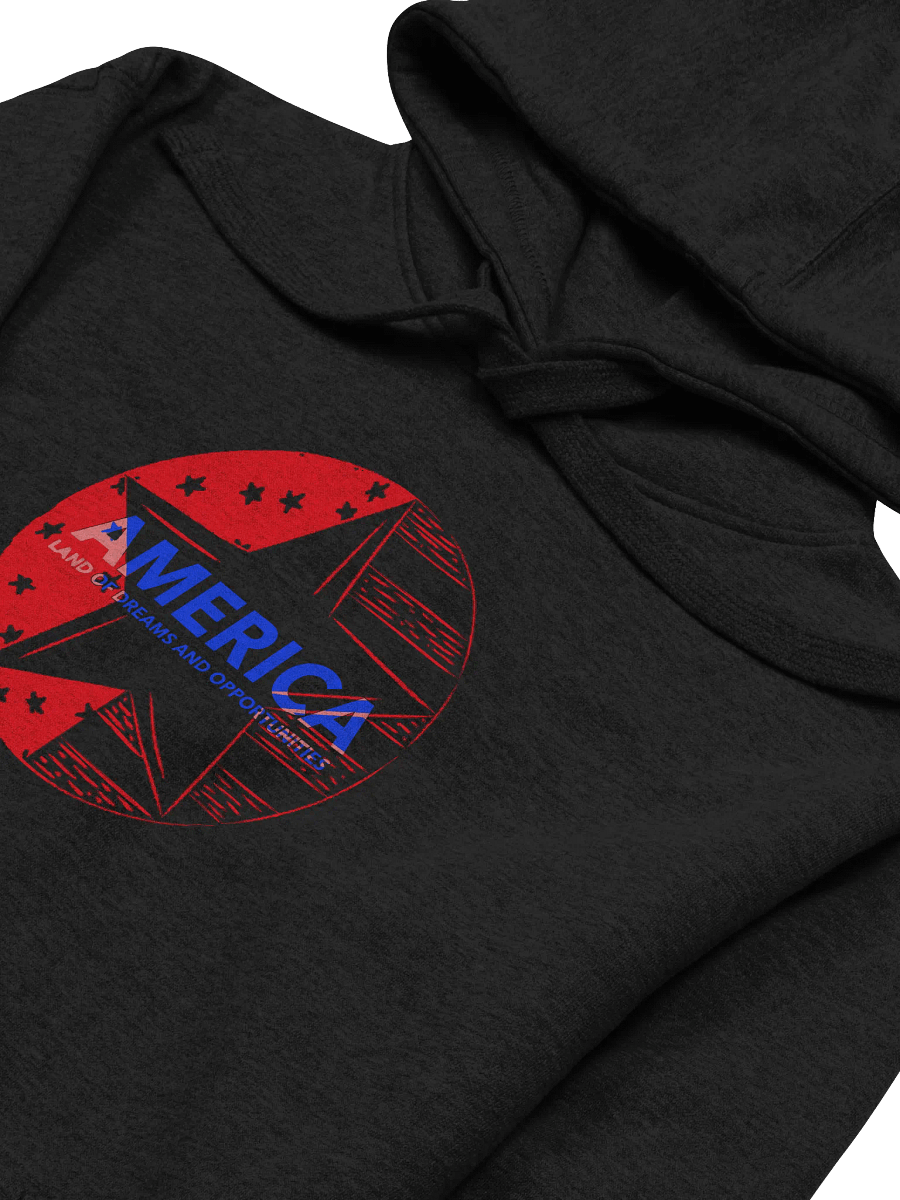 America Dreams & Opportunities Premium Hoodie product image (3)