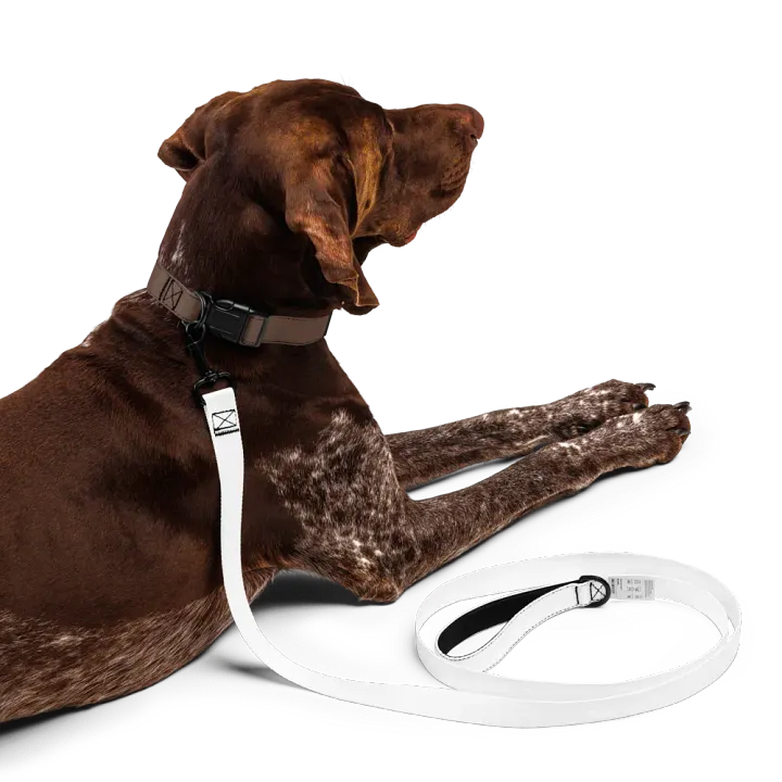 White Zenith Blank Canvas Pet Leash product image (1)