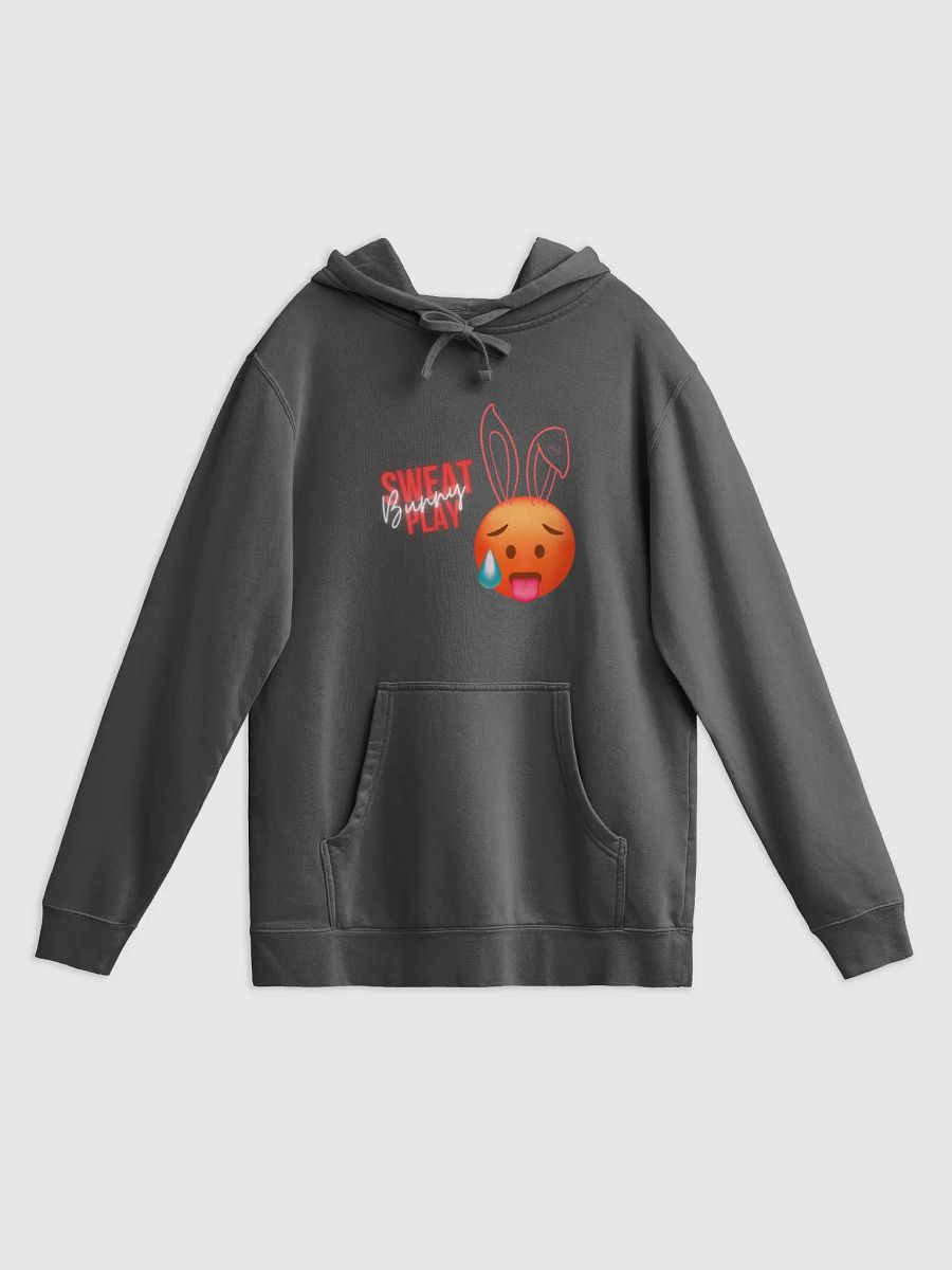80% Cotton SPB Hoodie product image (4)