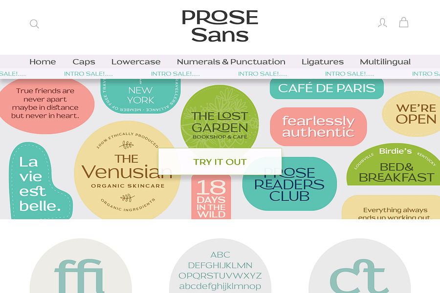 Prose Sans | A Wide Sans Serif Font Family product image (6)