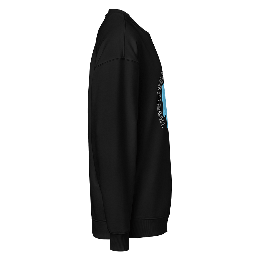 DTLA oversized crewneck sweater product image (6)