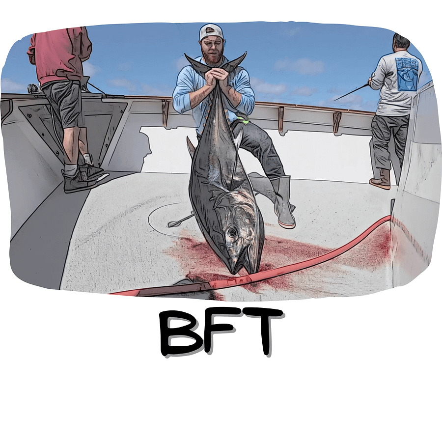 BFT Tee Shirt product image (51)
