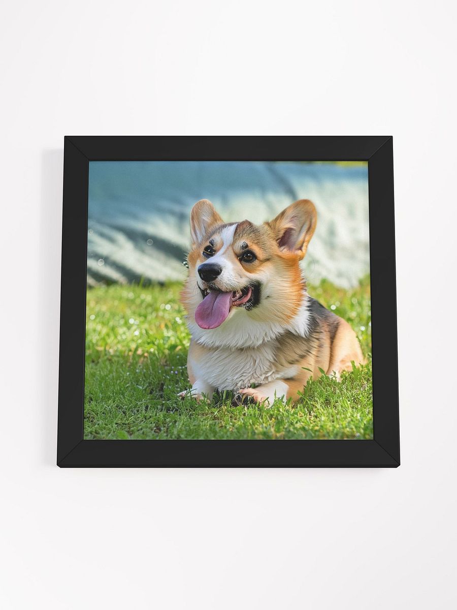 Eco-Friendly & Eye-Catching: Framed Dog Poster for Modern Homes product image (17)
