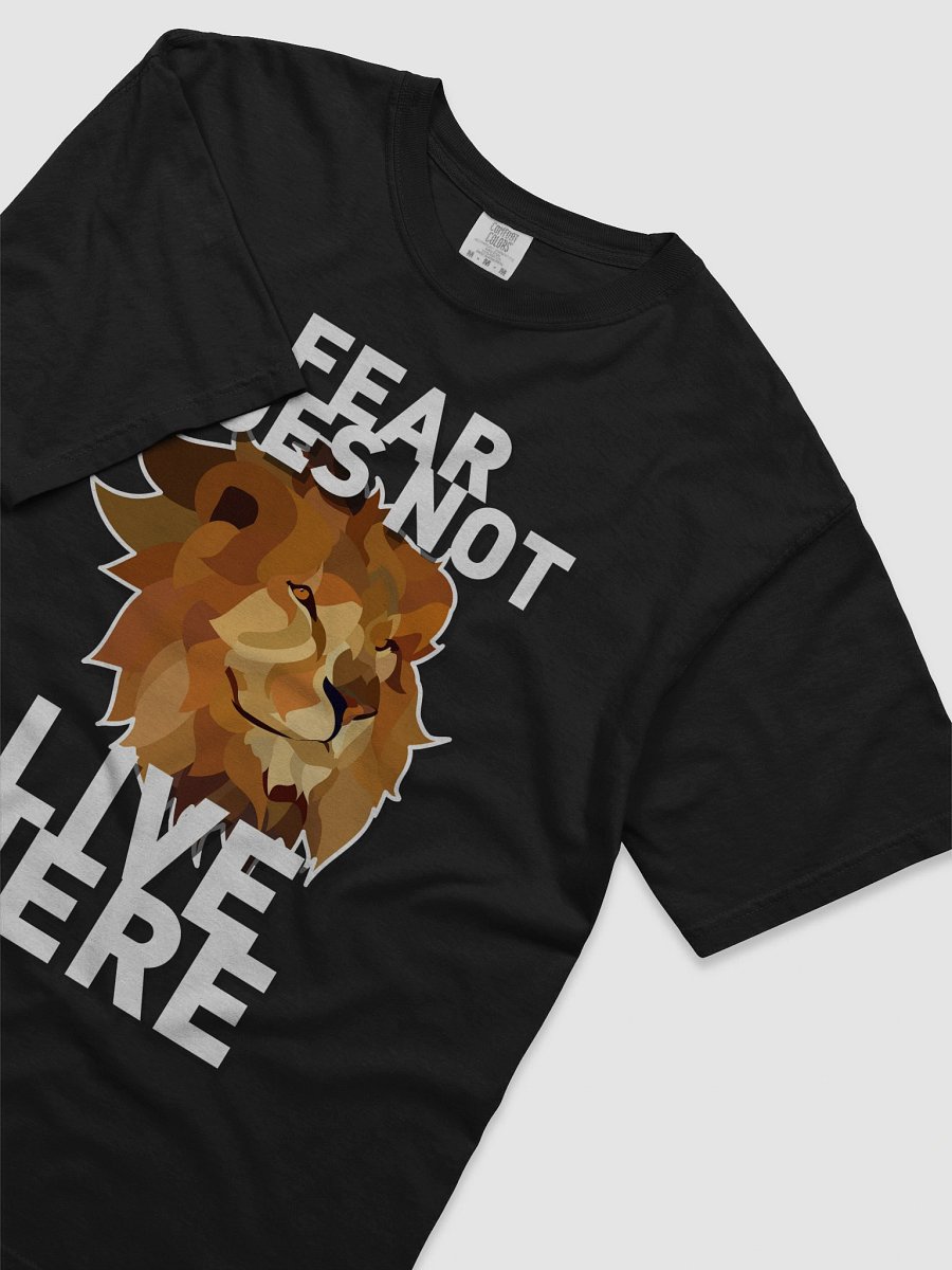 FEAR DOES NOT LIVE HERE product image (30)
