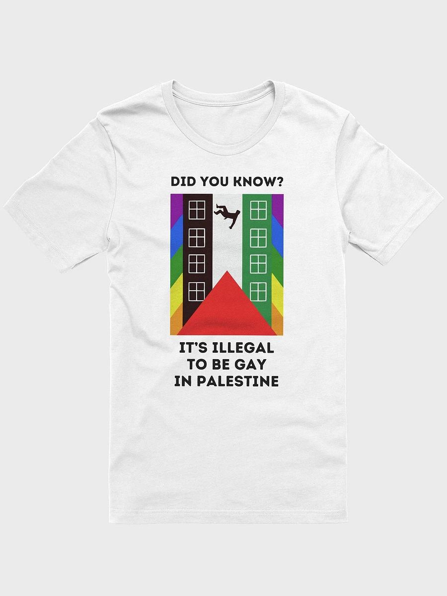 Queers for Palestine Shirt product image (1)