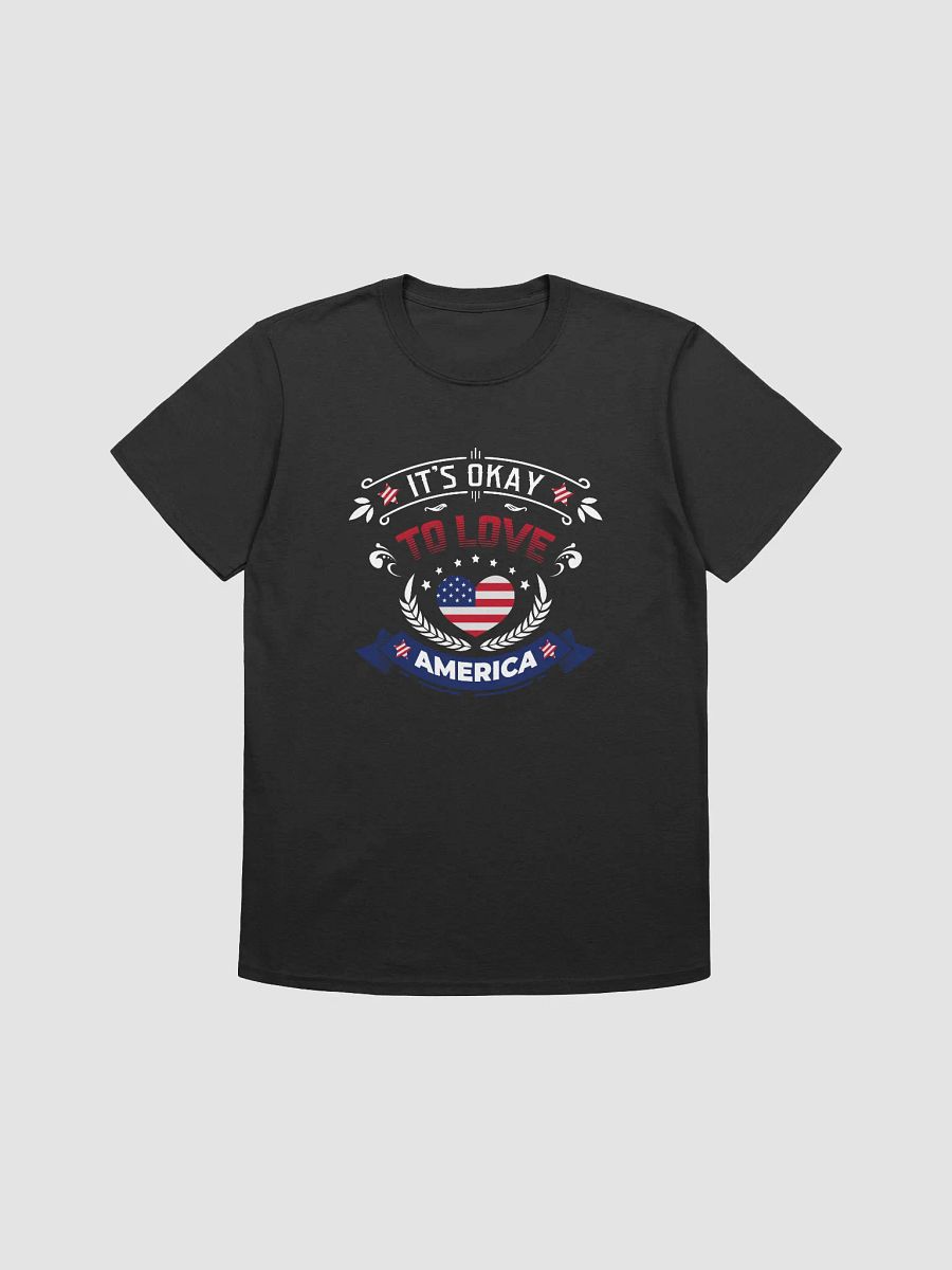 Its Okay To Love America T-Shirt product image (2)