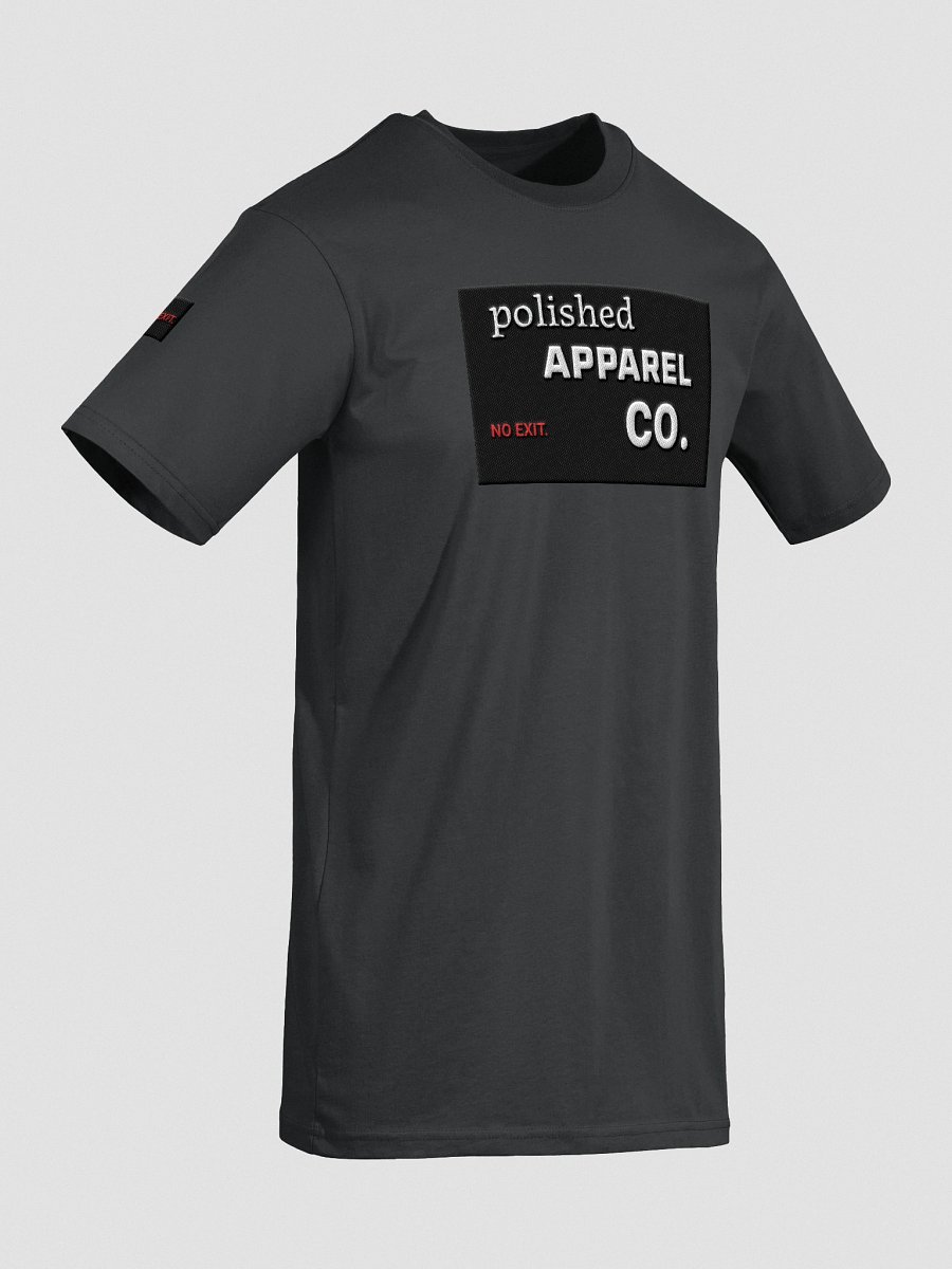 Polished Big Logo Tee Black product image (15)