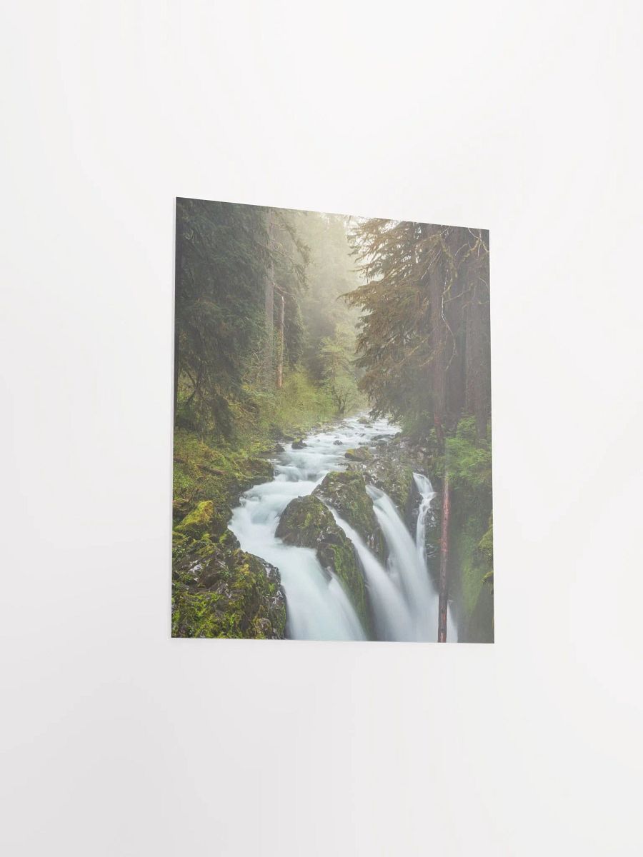 "Enchanted Forest" - 8x10 Matte Print product image (4)