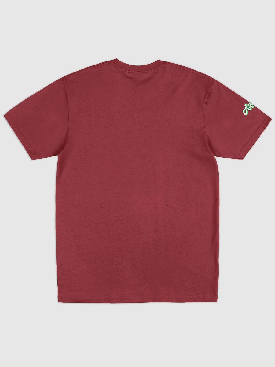 SideKick Aspero Cotton Heritage Men's Premium Heavyweight Tee product image (13)