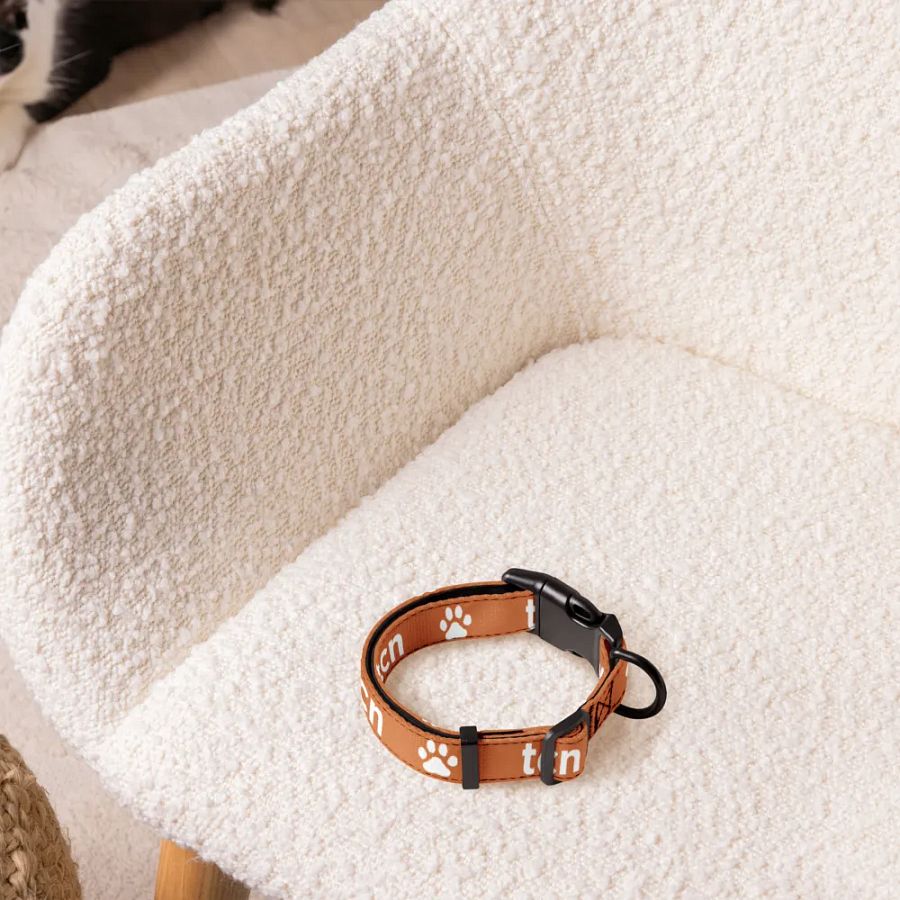 BEST FRIEND PET COLLAR product image (3)
