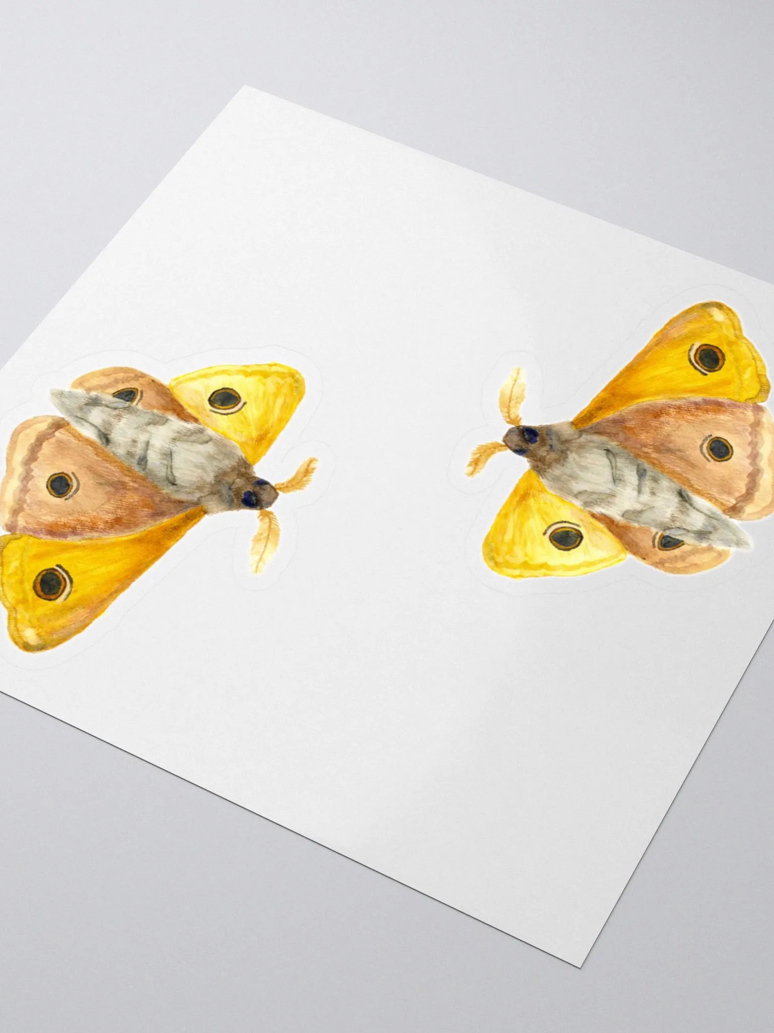 Small Emperor Moth Sticker (x2) product image (3)