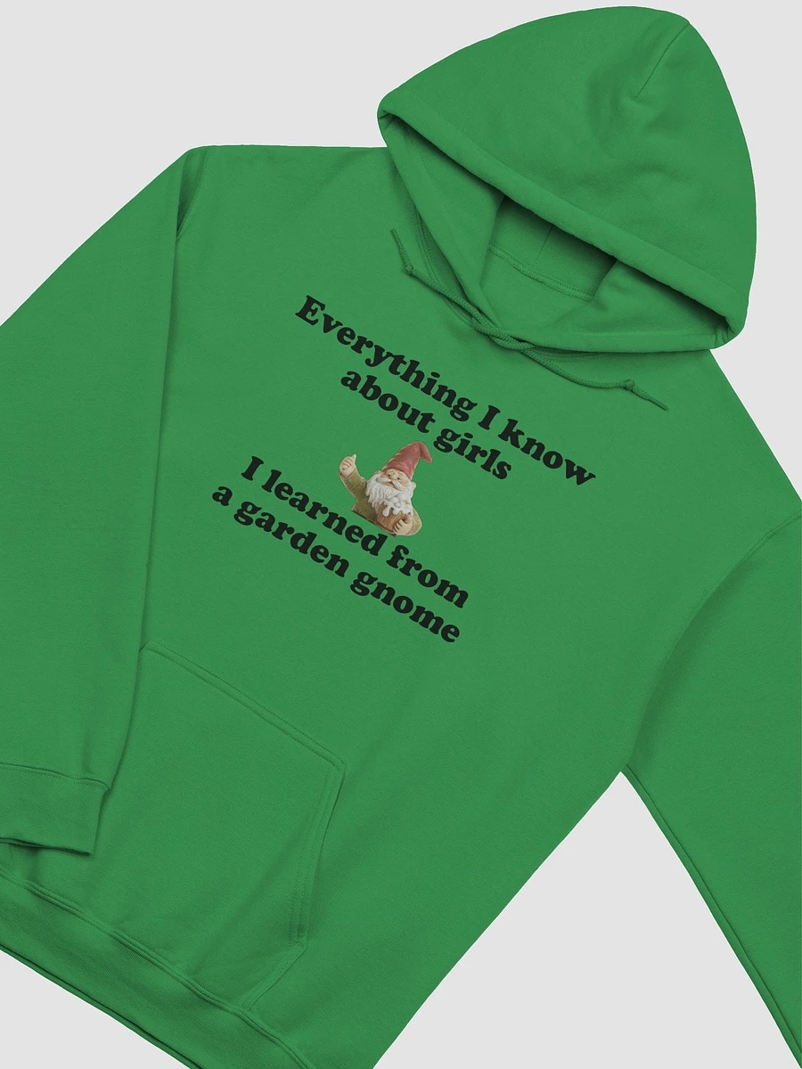 Everything I know about girls classic hoodie product image (20)