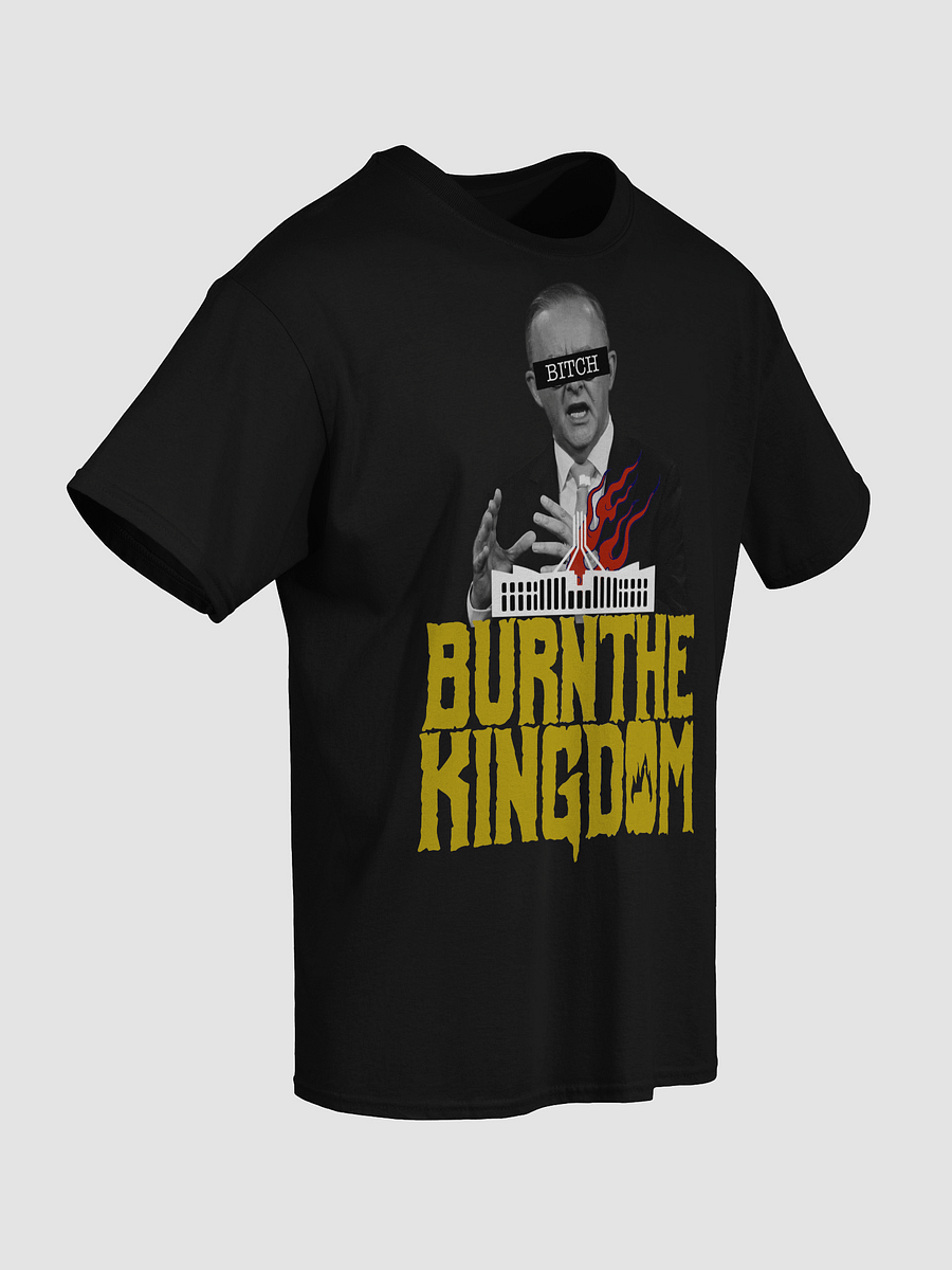 Albo T-Shirt product image (4)