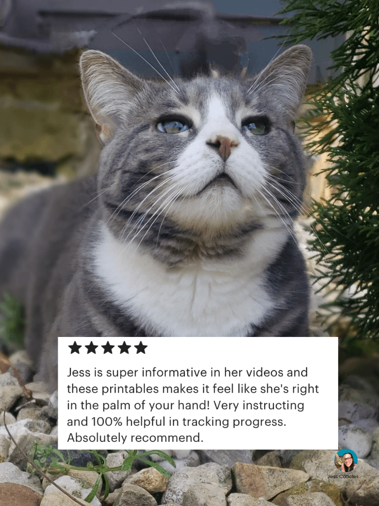 Switch to Raw Blueprint Digital Magazine ~ How to switch your cat from dry or wet to premade raw product image (6)