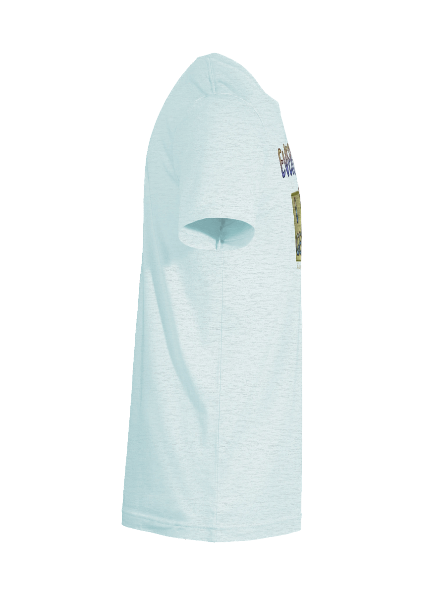 Everyday I Get Emails Spud Fitted T-Shirt product image (96)
