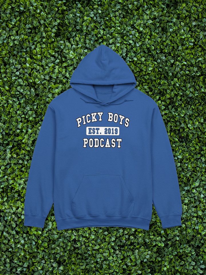 Picky Boys Est. 2019 Hoodie (9 Colors) product image (1)