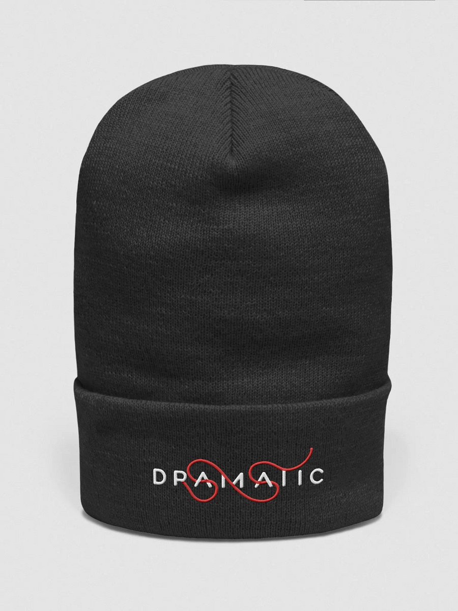 Dramatic Embroidered Beanie product image (1)