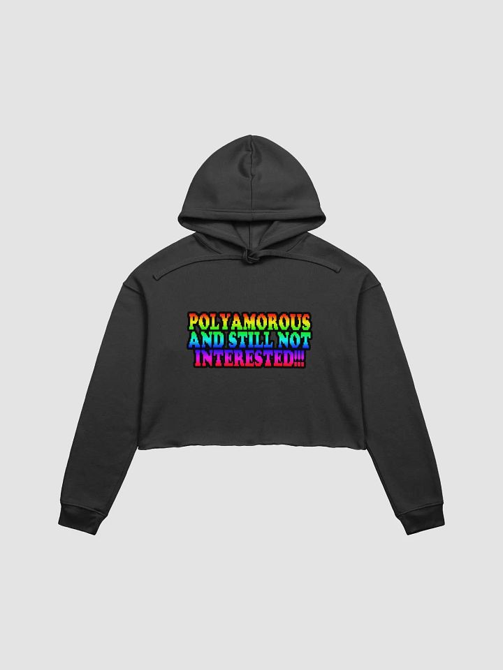 Polyamorous and Still not Interested Crop Top Hoodie product image (1)
