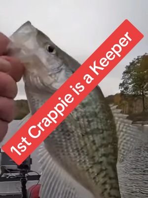 1st Crappie is Bucket Worthy #viral #fishing 