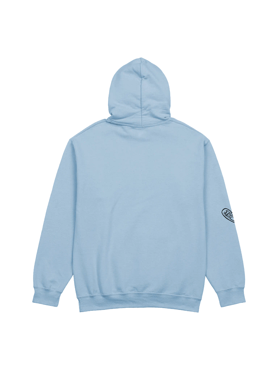 Aquarius Vibes Hoodie product image (3)