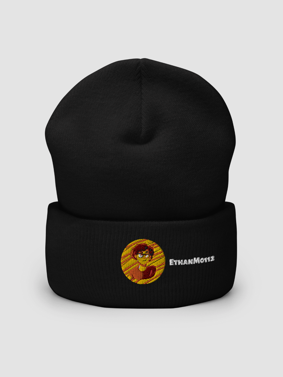 Cuffed Beanie product image (2)